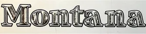 1 Keystone Logo Boat Rv Trailer Decal Graphic
