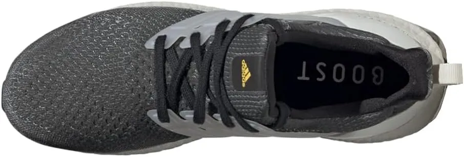 adidas Men's Ultraboost 1.0 Shoe