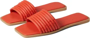 Dolce Vita Women's Nyx Flat Sandal