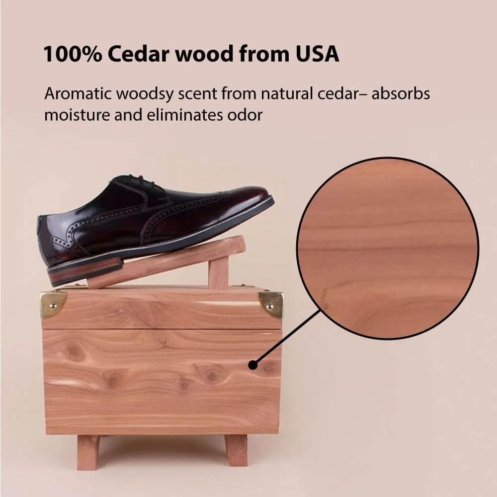 FootFitter Shine Set & Grand Cedar Wood Storage Box, Polish Cream & Care Tools for Leather Shoes
