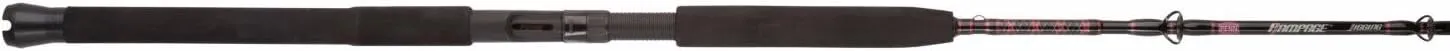 Penn Rampage Boat Spinning Fishing Rod