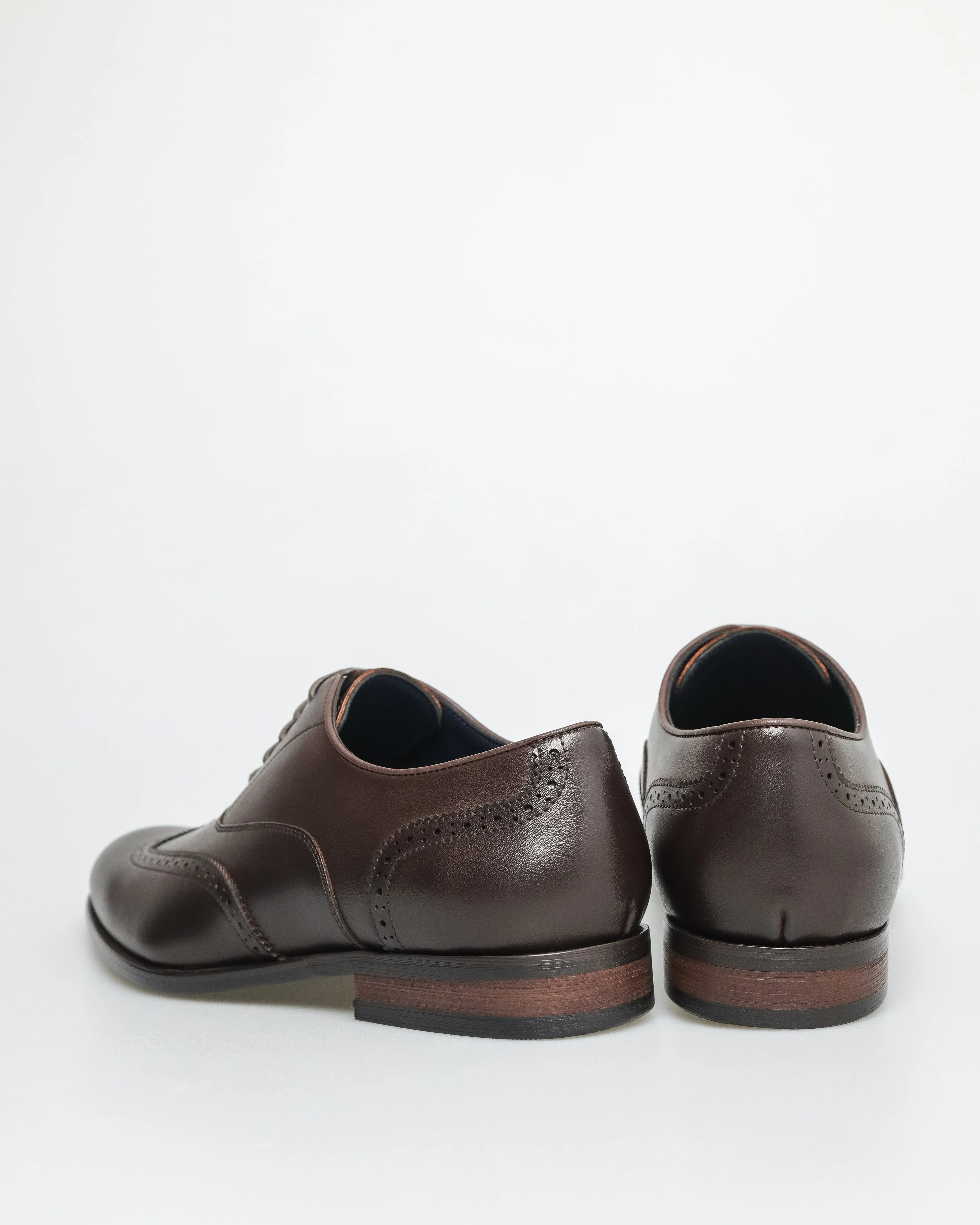 Tomaz F401 Men's Brogue Toe Oxford