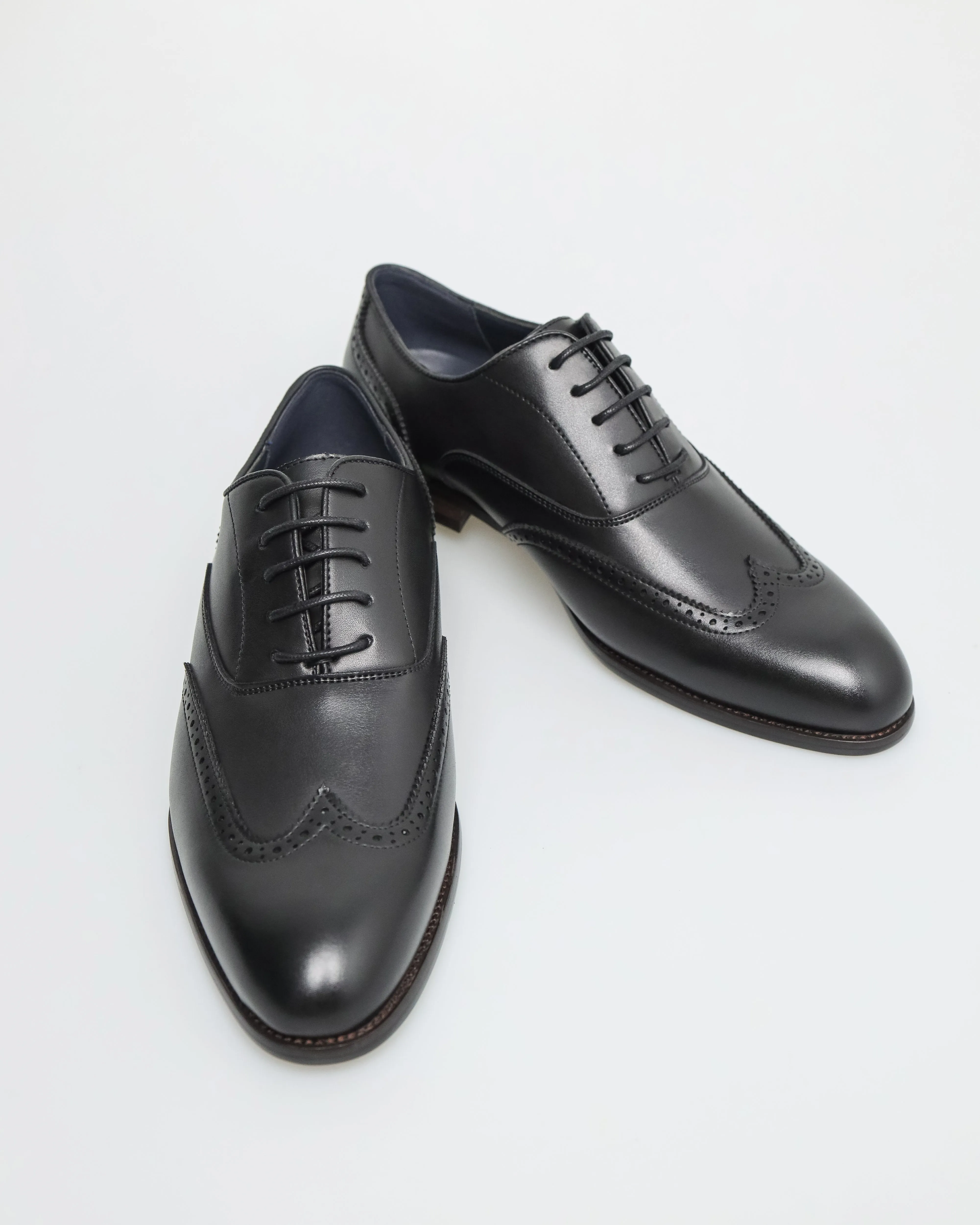 Tomaz F401 Men's Brogue Toe Oxford